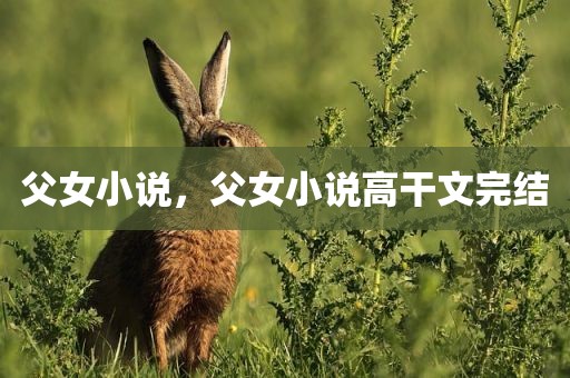 父女小说，父女小说高干文完结