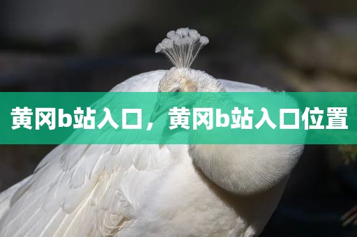黄冈b站入口，黄冈b站入口位置