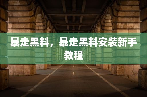 暴走黑料，暴走黑料安装新手教程