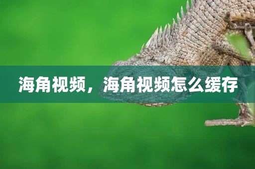 海角视频，海角视频怎么缓存
