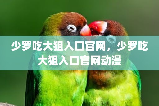 少罗吃大狙入口官网，少罗吃大狙入口官网动漫