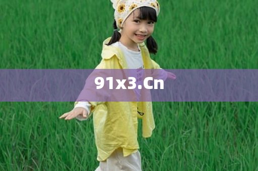 91x3.Cn