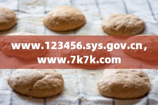 www.123456.sys.gov.cn，www.7k7k.com
