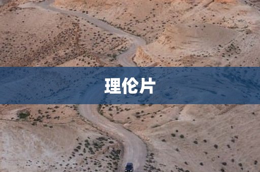 理伦片