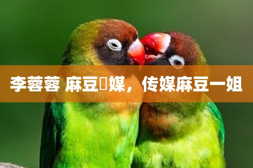 李蓉蓉 麻豆傳媒，传媒麻豆一姐