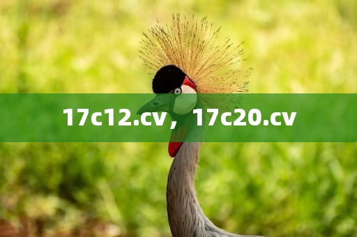17c12.cv，17c20.cv