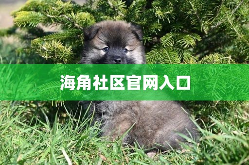 海角社区官网入口