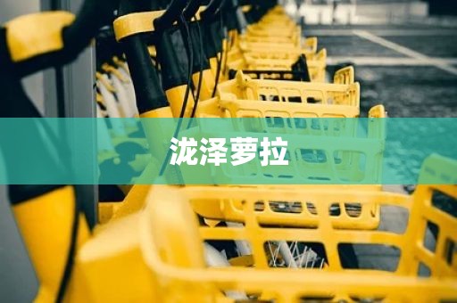 泷泽萝拉