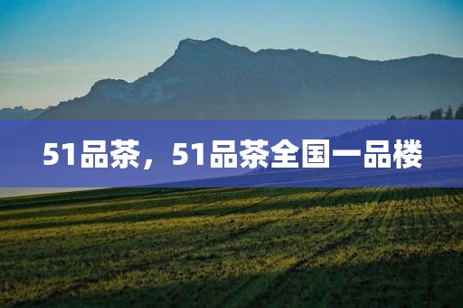 51品茶，51品茶全国一品楼