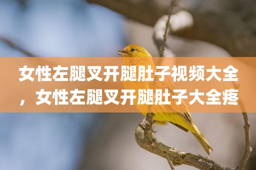 女性左腿叉开腿肚子视频大全，女性左腿叉开腿肚子大全疼