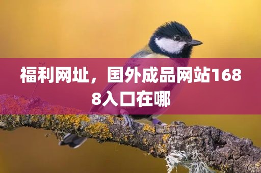 福利网址，国外成品网站1688入口在哪