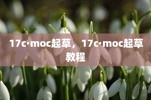 17c·moc起草，17c·moc起草教程