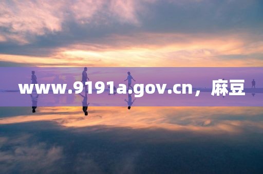 www.9191a.gov.cn，麻豆