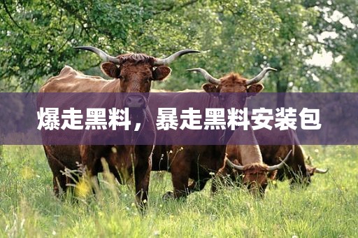 爆走黑料，暴走黑料安装包