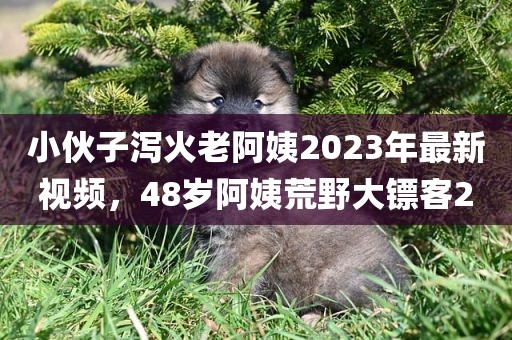 小伙子泻火老阿姨2023年最新视频，48岁阿姨荒野大镖客2