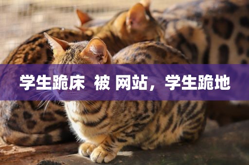 学生跪床  被 网站，学生跪地