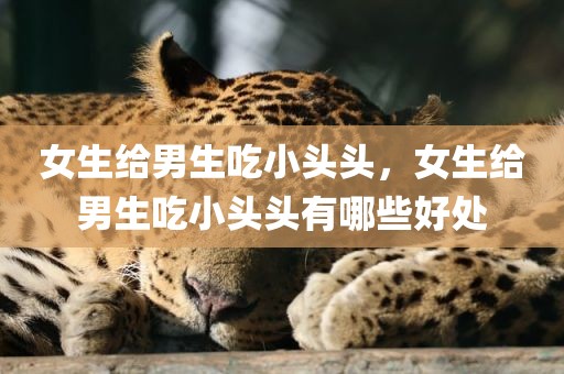 女生给男生吃小头头，女生给男生吃小头头有哪些好处