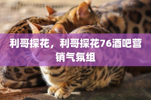利哥探花，利哥探花76酒吧营销气氛组