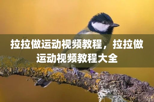 拉拉做运动视频教程，拉拉做运动视频教程大全