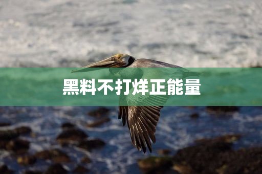 黑料不打烊正能量