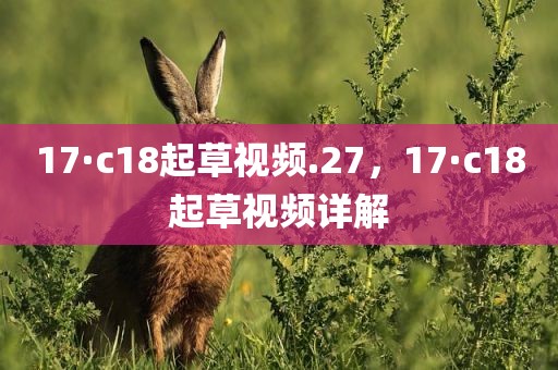 17·c18起草视频.27，17·c18起草视频详解