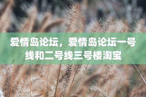 爱情岛论坛，爱情岛论坛一号线和二号线三号楼淘宝