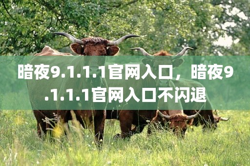 暗夜9.1.1.1官网入口，暗夜9.1.1.1官网入口不闪退