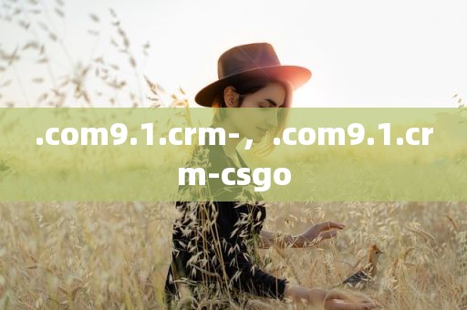 .com9.1.crm-，.com9.1.crm-csgo