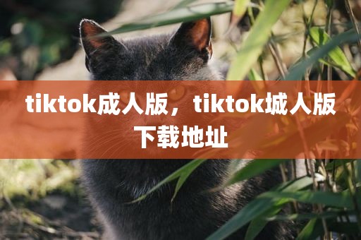 tiktok成人版，tiktok城人版下载地址
