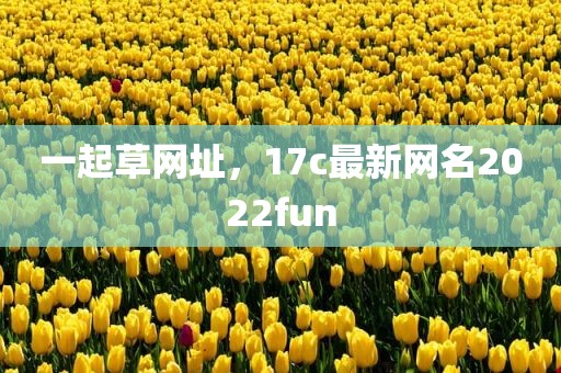 一起草网址，17c最新网名2022fun