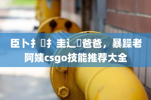 臣卜扌喿扌圭辶畐爸爸，暴躁老阿姨csgo技能推荐大全