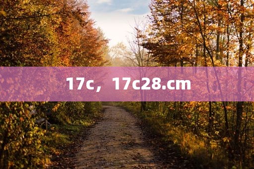 17c，17c28.cm