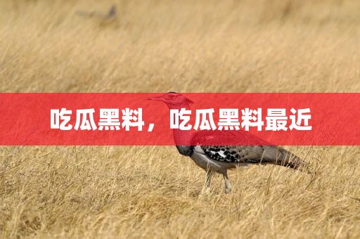 吃瓜黑料，吃瓜黑料最近
