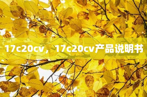 17c20cv，17c20cv产品说明书