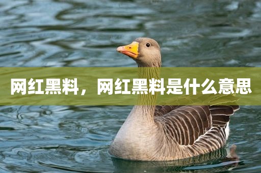 网红黑料，网红黑料是什么意思