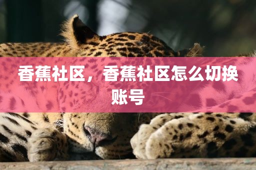 香蕉社区，香蕉社区怎么切换账号