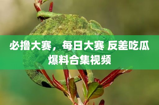 必撸大赛，每日大赛 反差吃瓜爆料合集视频