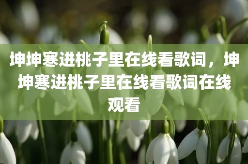 坤坤寒进桃子里在线看歌词，坤坤寒进桃子里在线看歌词在线观看