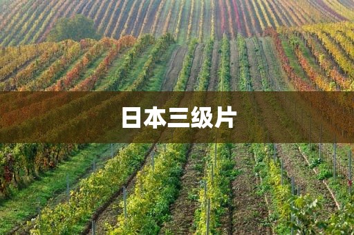 日本三级片