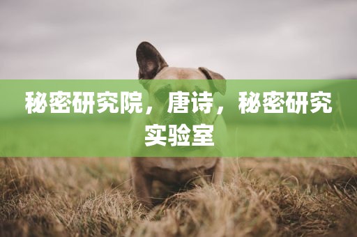 秘密研究院，唐诗，秘密研究实验室