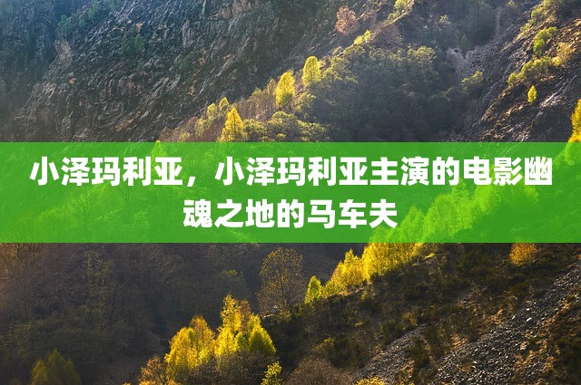 小泽玛利亚，小泽玛利亚主演的电影幽魂之地的马车夫