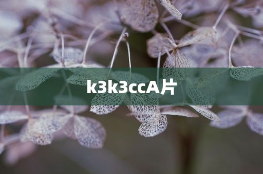 k3k3ccA片