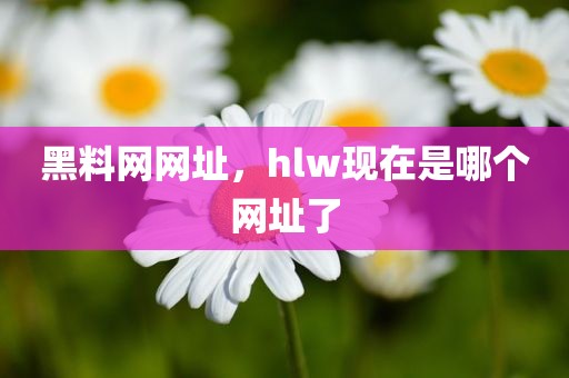 黑料网网址，hlw现在是哪个网址了