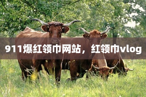 911爆红领巾网站，红领巾vlog