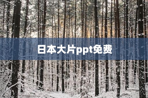 日本大片ppt免费