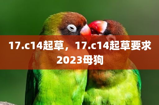 17.c14起草，17.c14起草要求2023母狗