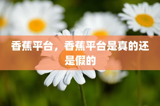 香蕉平台，香蕉平台是真的还是假的