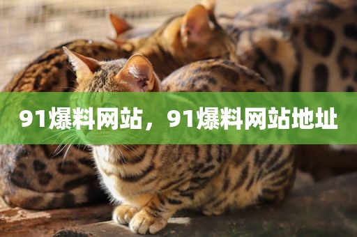91爆料网站，91爆料网站地址