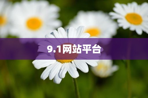 9.1网站平台