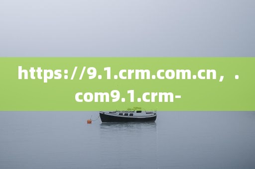 https://9.1.crm.com.cn，.com9.1.crm-